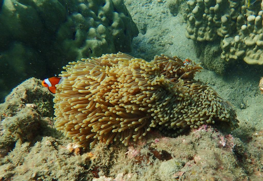The Moken Eco Village Ko Phra Thong Buitenkant foto